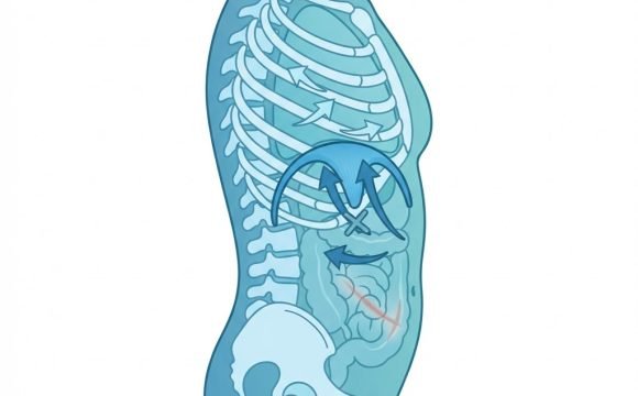 Cicatrice addominale, diaframma e respirazione